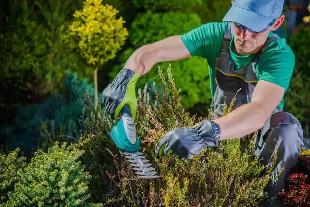 landscaping services East Douglas